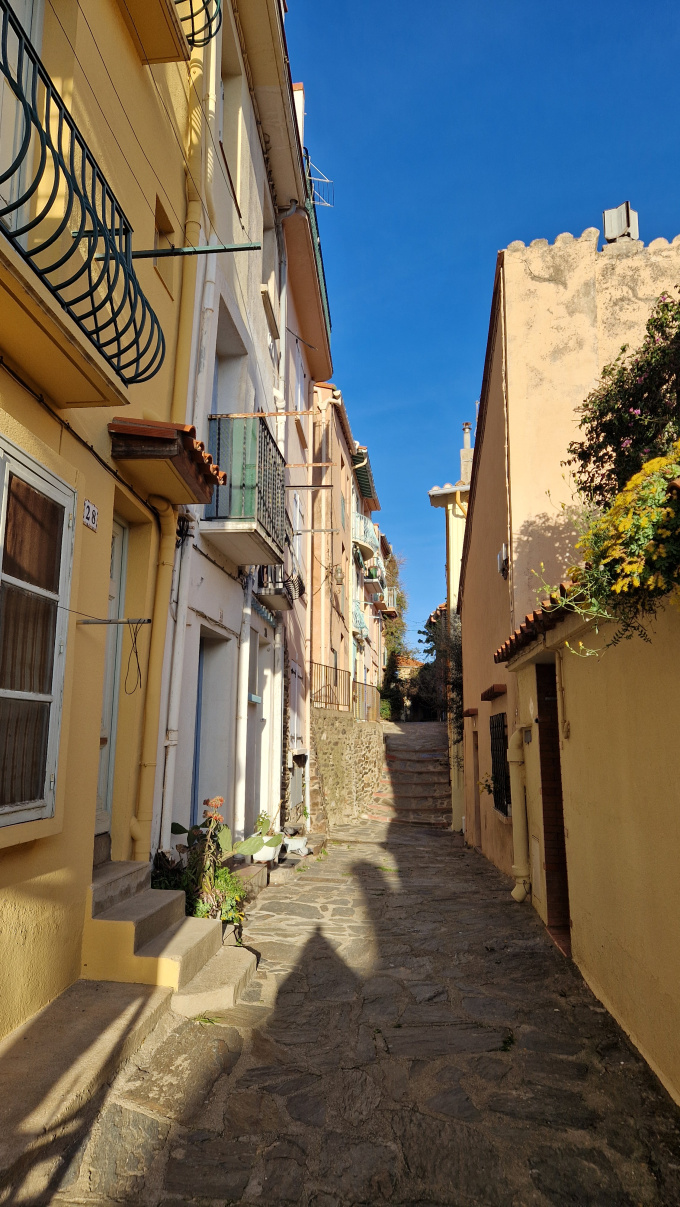 Offres de vente Studio Collioure (66190)